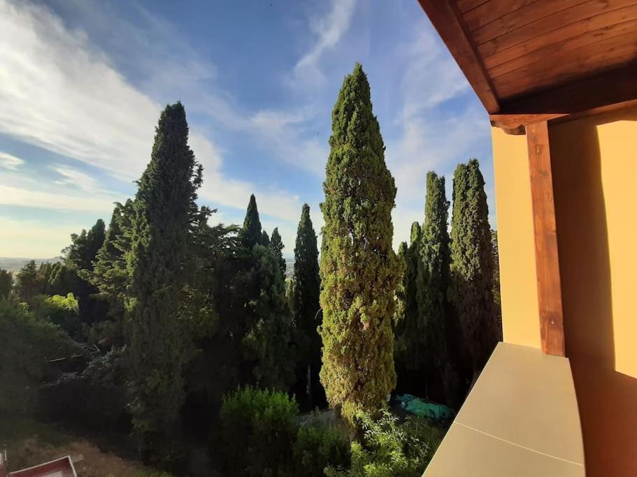 Lajatico Rentals - Terrazza Sul Tramonto Del Silenzio Extérieur photo
